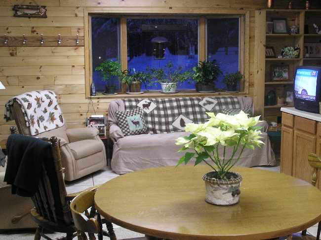 Camp lounge